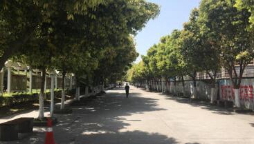 重慶萬州三峽服裝藝術(shù)學(xué)校