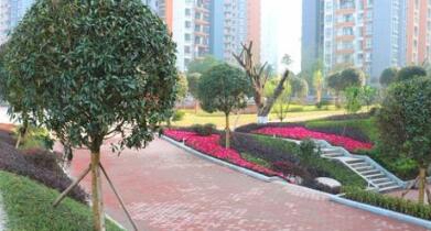 重慶城市建設(shè)技工學(xué)校