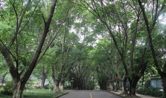 重慶市巫山縣職業(yè)教育中心