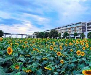 廣西交通技師學院