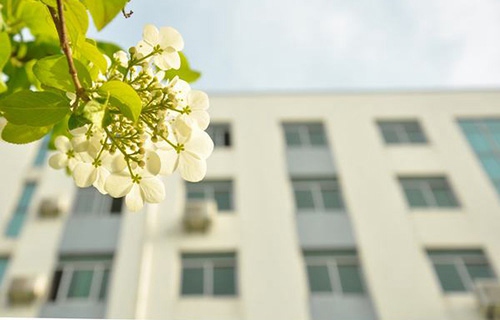 柳州交通學(xué)校