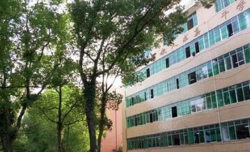 靖西職業(yè)技術(shù)學校