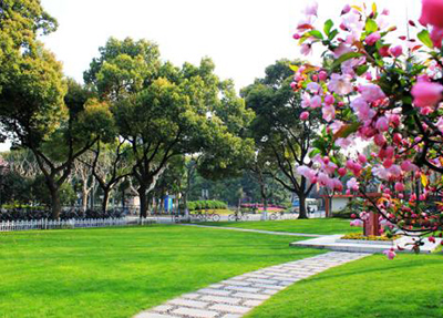 四川涼山衛(wèi)生學(xué)校