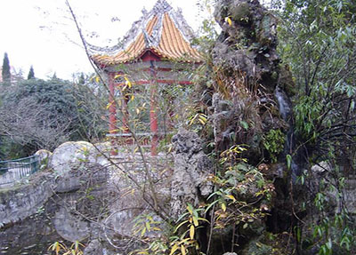 南充科技職業(yè)學院