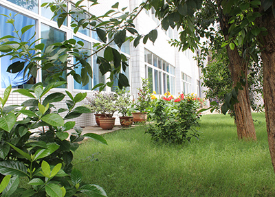 攀枝花華森職業(yè)學(xué)校