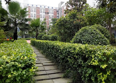 成都華商理工職業(yè)學(xué)校