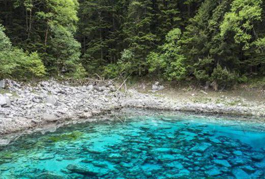 四川工商職業(yè)技術(shù)學(xué)院