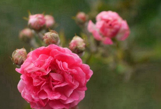 四川工程職業(yè)技術(shù)學(xué)院