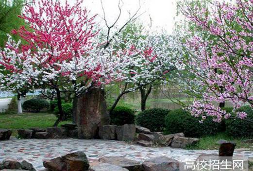 自貢大安職業(yè)技術(shù)學(xué)校