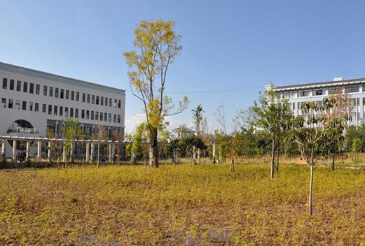 麗江師范高等?？茖W(xué)校