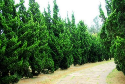 云南新興職業(yè)學院