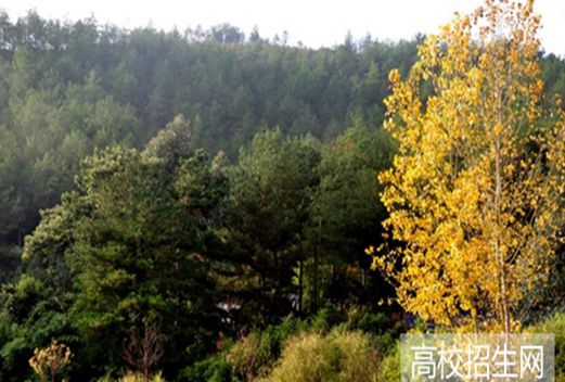 貴州盛華職業(yè)學(xué)院