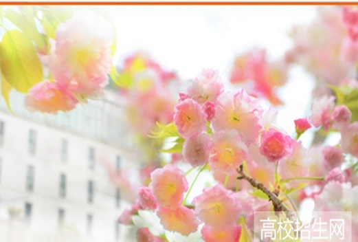 貴州盛華職業(yè)學(xué)院