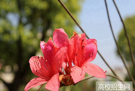 遂寧機(jī)電職業(yè)技術(shù)學(xué)校