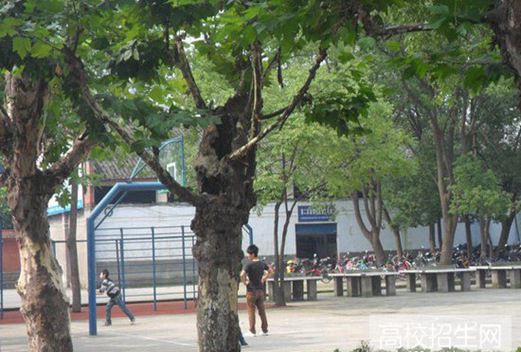 宜賓科普職業(yè)技術(shù)學(xué)校