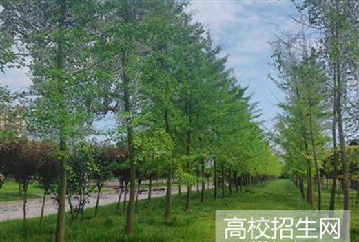 四川管理職業(yè)學(xué)院