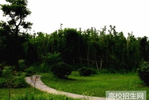 四川省巴中師范學校