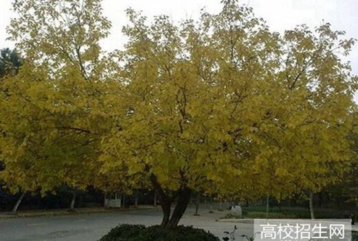 萬源第二職業(yè)高級中學(xué)