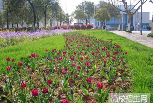 萬源第二職業(yè)高級中學(xué)