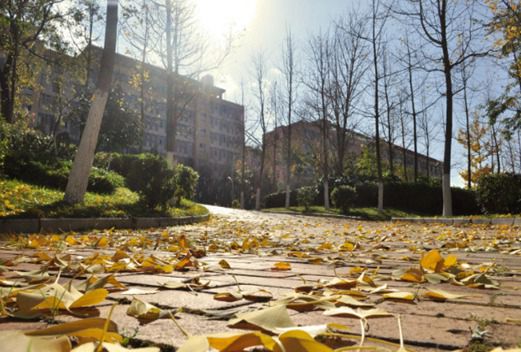 云南交通職業(yè)技術(shù)學(xué)院