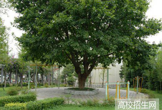 宜賓三峽機電職業(yè)技術(shù)學(xué)校