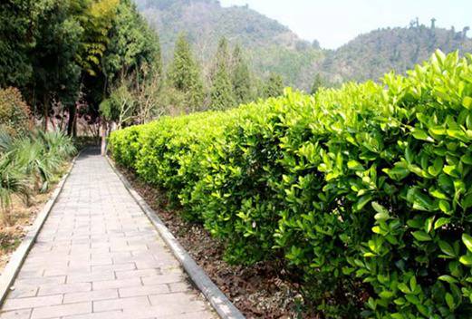 貴州航天職業(yè)技術學院