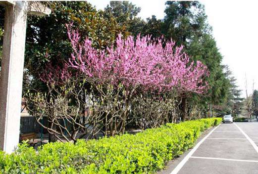 貴州航天職業(yè)技術學院