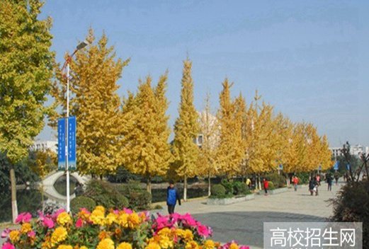 成都農(nóng)業(yè)科技職業(yè)學(xué)院