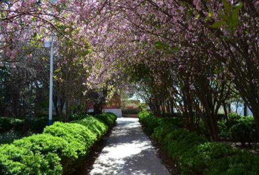 昆明高級(jí)技工學(xué)校