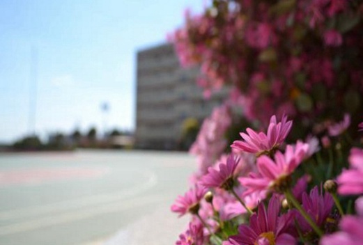 昆明高級(jí)技工學(xué)校