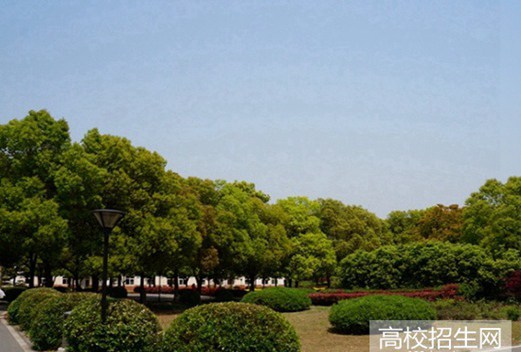 西昌學(xué)院成人教育