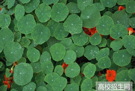 四川省信息工程學(xué)校