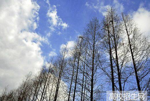 四川省信息工程學(xué)校