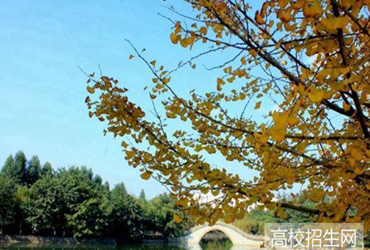 四川科技職業(yè)學(xué)院