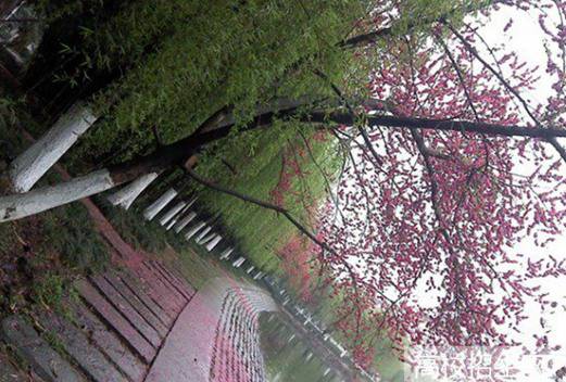 四川城市職業(yè)學(xué)院