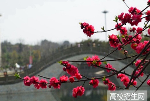 四川城市職業(yè)學(xué)院