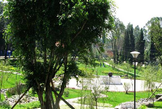 云南交通技師學(xué)院