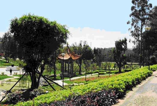 云南交通技師學(xué)院