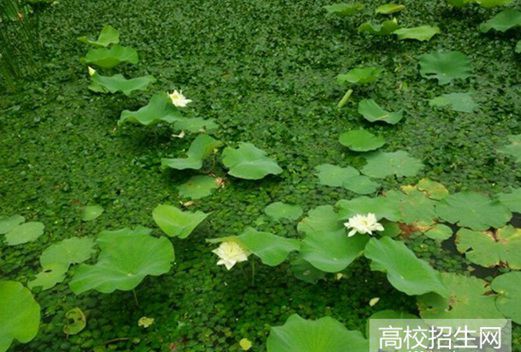 南充理工學(xué)校