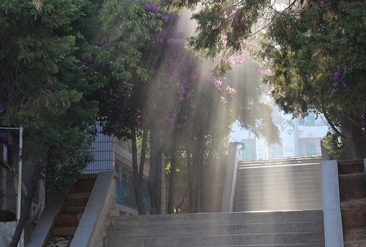 云南現(xiàn)代職業(yè)技術(shù)學院