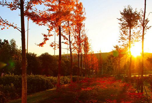 云南現(xiàn)代職業(yè)技術(shù)學院