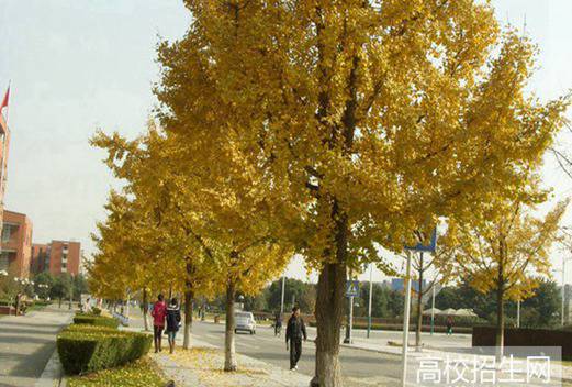 西南民族大學(xué)成人教育學(xué)院