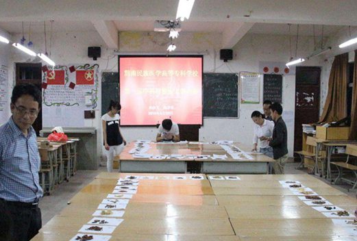 黔南民族醫(yī)學(xué)高等?？茖W(xué)校