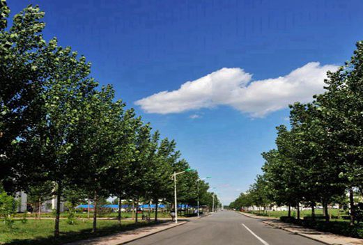 四川汽車職業(yè)技術(shù)學院