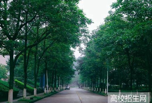 眉山職業(yè)技術(shù)學(xué)院