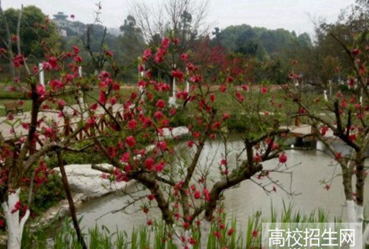 眉山職業(yè)技術(shù)學(xué)院