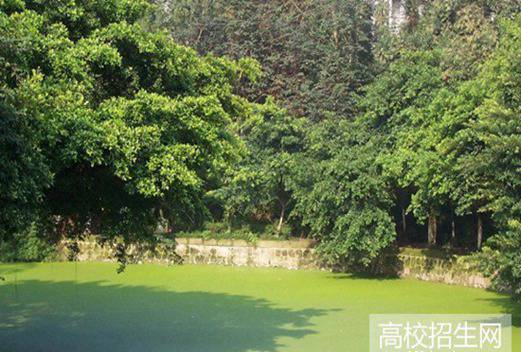 四川文軒職業(yè)學(xué)院