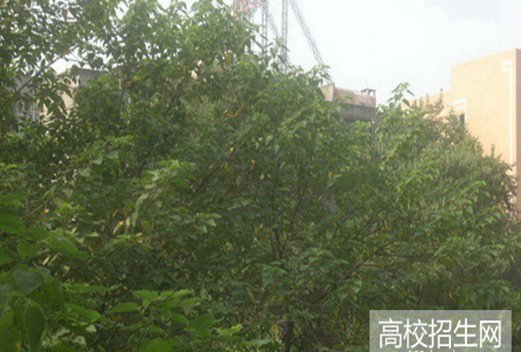 成都工業(yè)職業(yè)技術學院