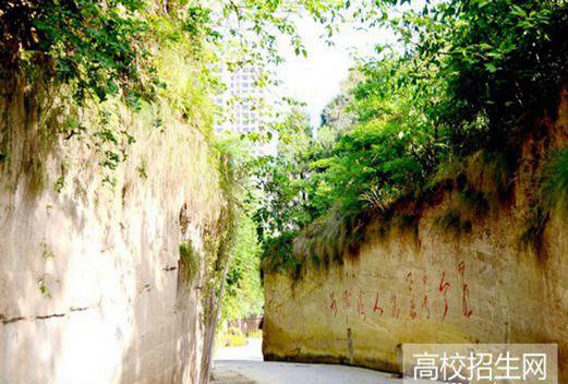 四川省鹽亭縣職業(yè)技術(shù)學(xué)校