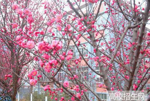 德陽(yáng)通用電子科技學(xué)校